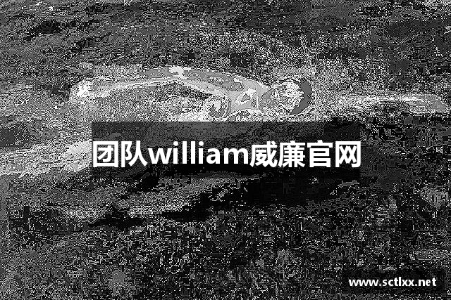 团队william威廉官网